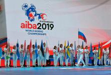 ХХ чемпионат мира по боксу