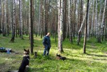 Фестиваль «Старый Новый Рок» Фестиваль «Старый Новый Рок»